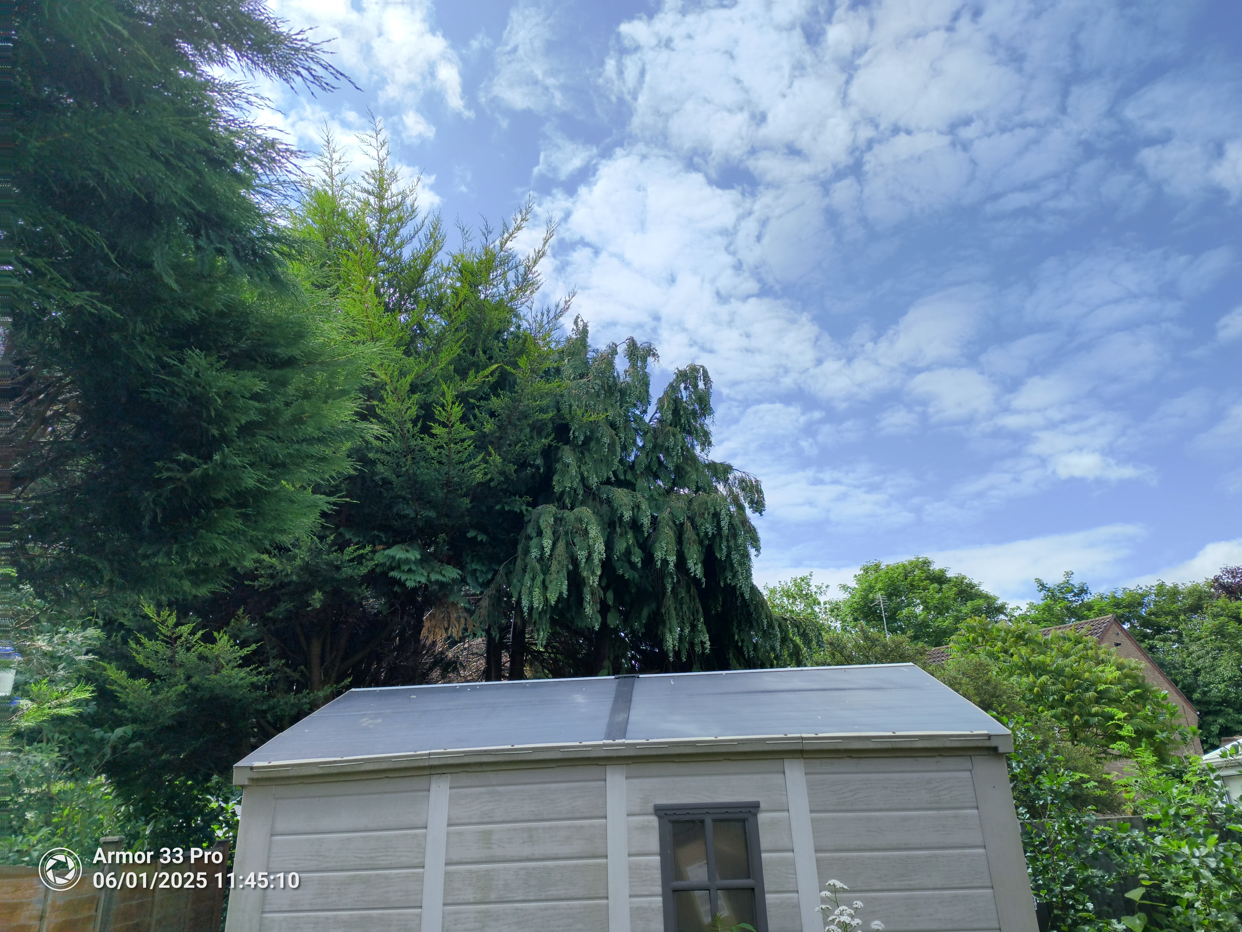 Ulefone Armor 33 Pro photos