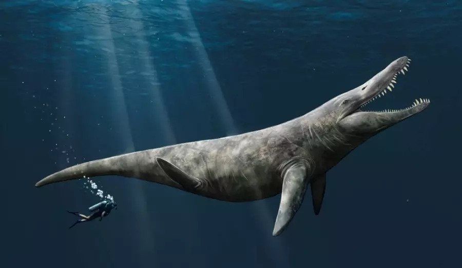 An artist&#039;s illustration of the pliosaur, an ancient ambush predator twice the size of an orca.