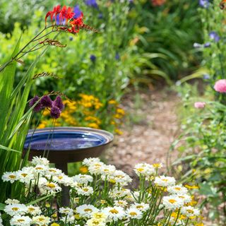 Blue bird feeder in a garden full of flowers