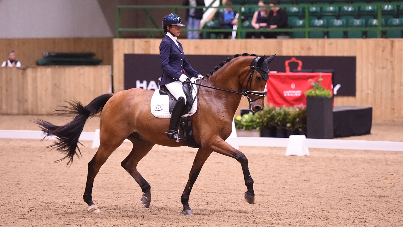 Sarah Millis and Imperial Magic Dream at the Hartpury young horse semi-finals
