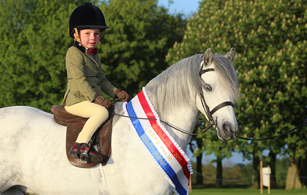 Heniarth Yes Sir