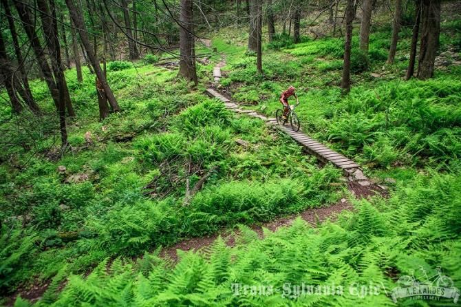 The State College classic Three Bridges trail will play a role in the all enduro Stage 4