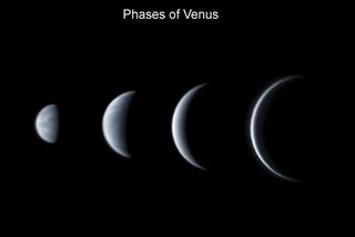 four phases of venus side by side shows the planet getting bigger and becoming more of a crescent shape