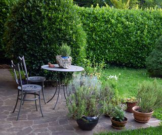 Idyllic springtime patio in Italian garden with small wrought iron table and chairs against dark laurel hedge.