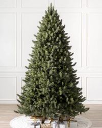 Vermont White Spruce Christmas tree 7.5ft, unlit, from Balsam Hill – £649 £449 SAVE £200