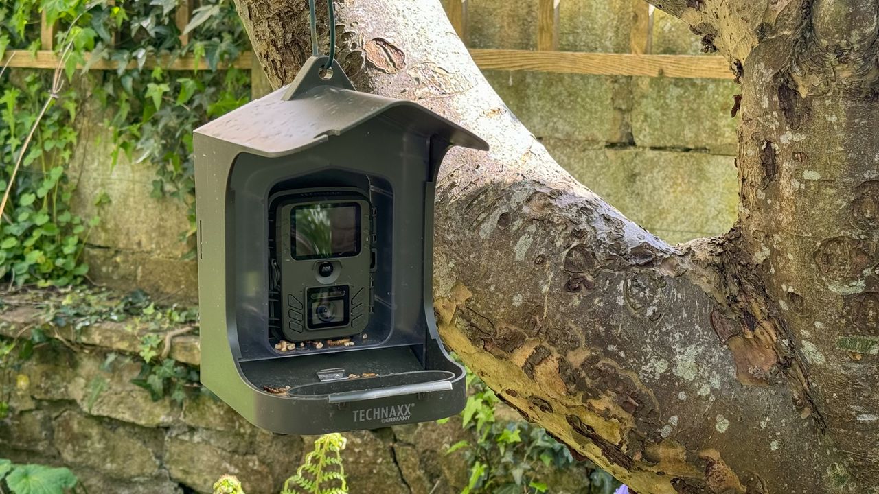 Technaxx Birdcam TX-165 review - a basic bird feeder camera that doesn't try to be smart