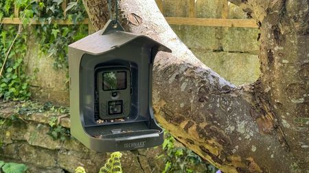 Technaxx Bird Feeder Camera hanging from tree in garden