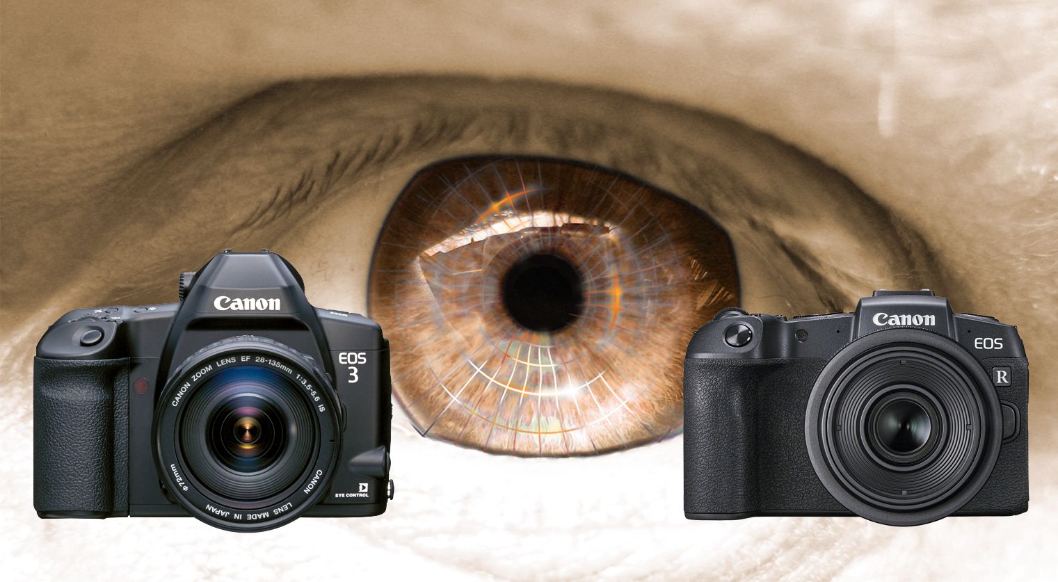 The eyes have it: photographers WANT Canon's Eye Controlled Focus back ...