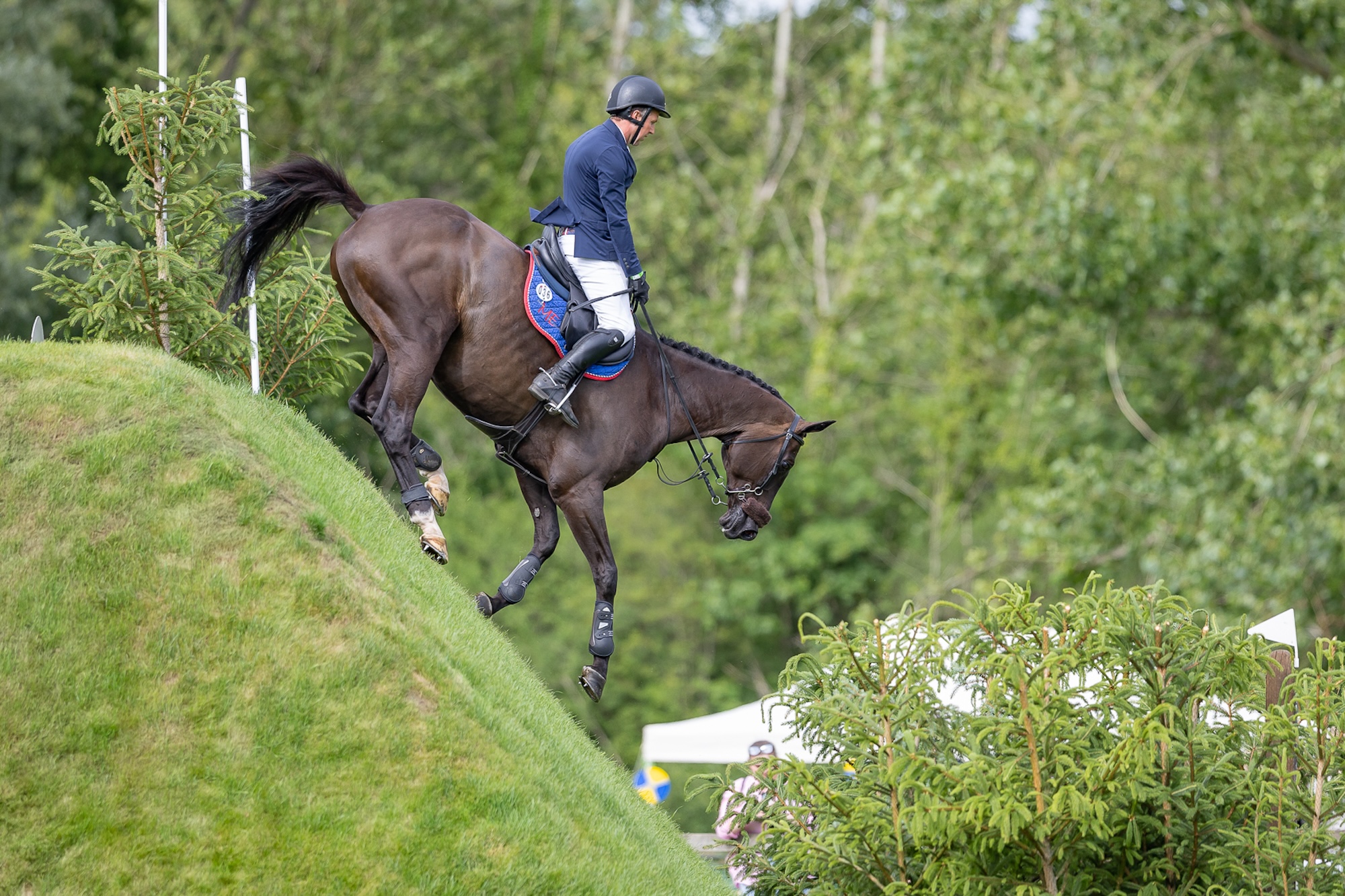 Mark Edwards and Dillinger NE come down the bank in the 2026 Hickstead Speed Derby