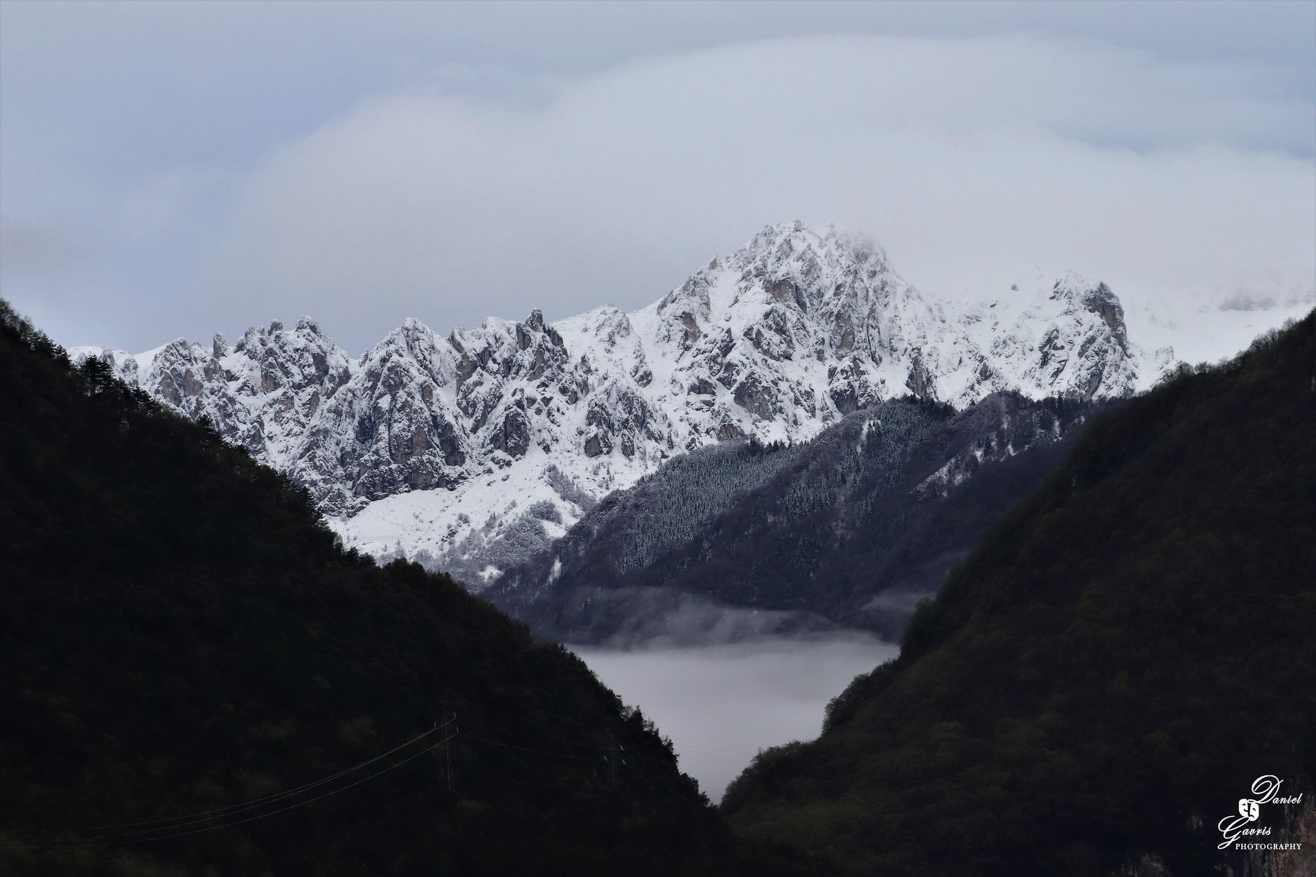 GuruShots - February 2026