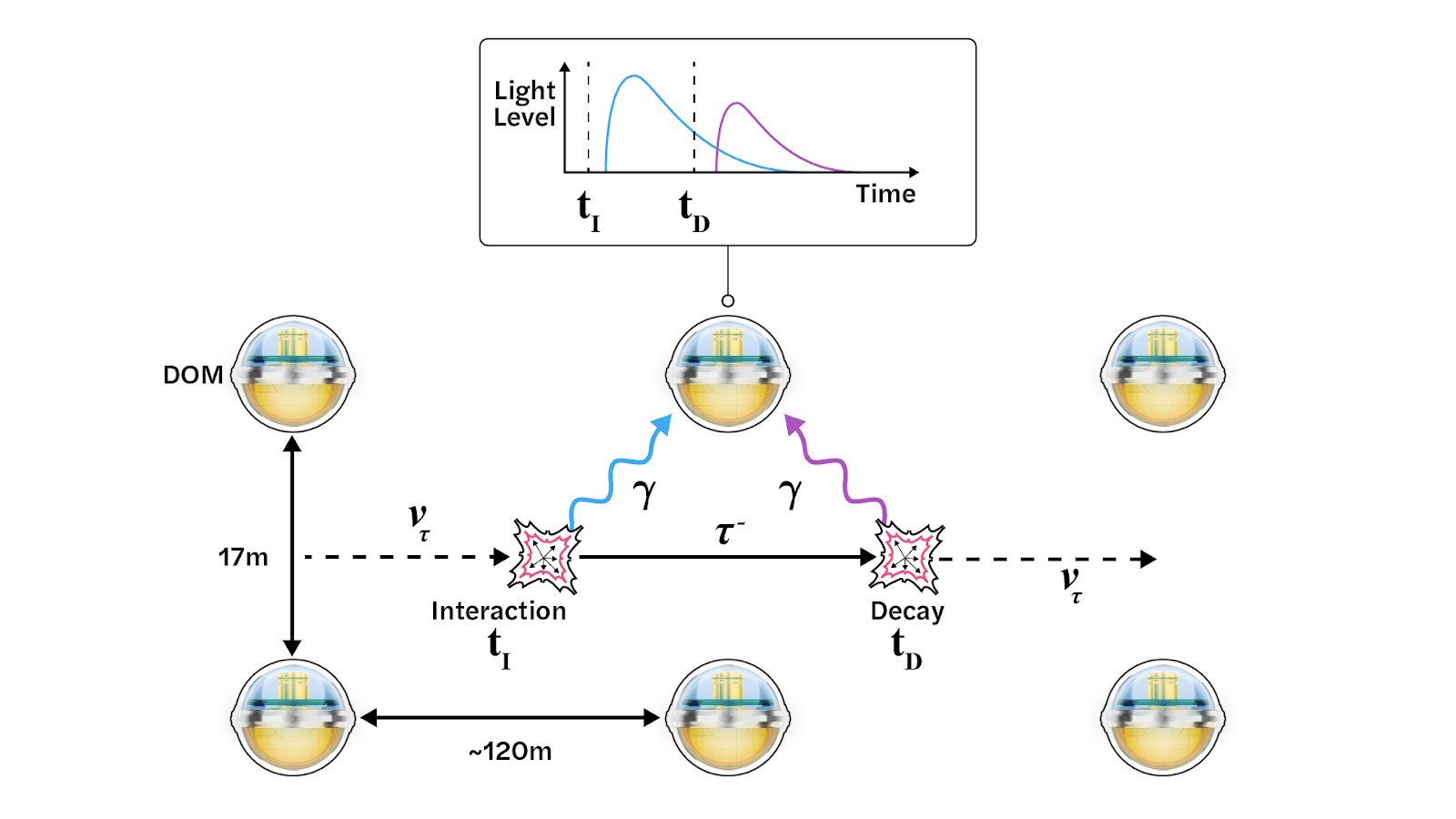 La forma de onda de doble pulso indica que los DOM han detectado neutrinos tau.