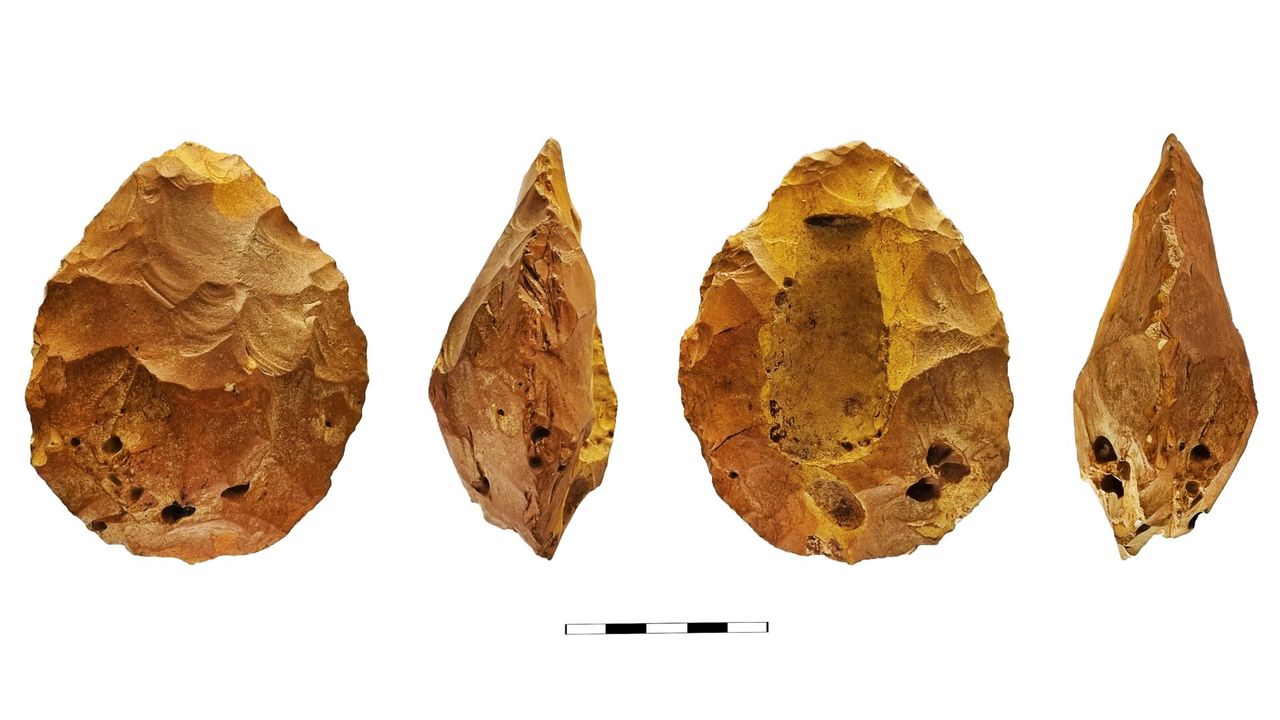 A series of brown pointed rocks seen from different angles against a white background