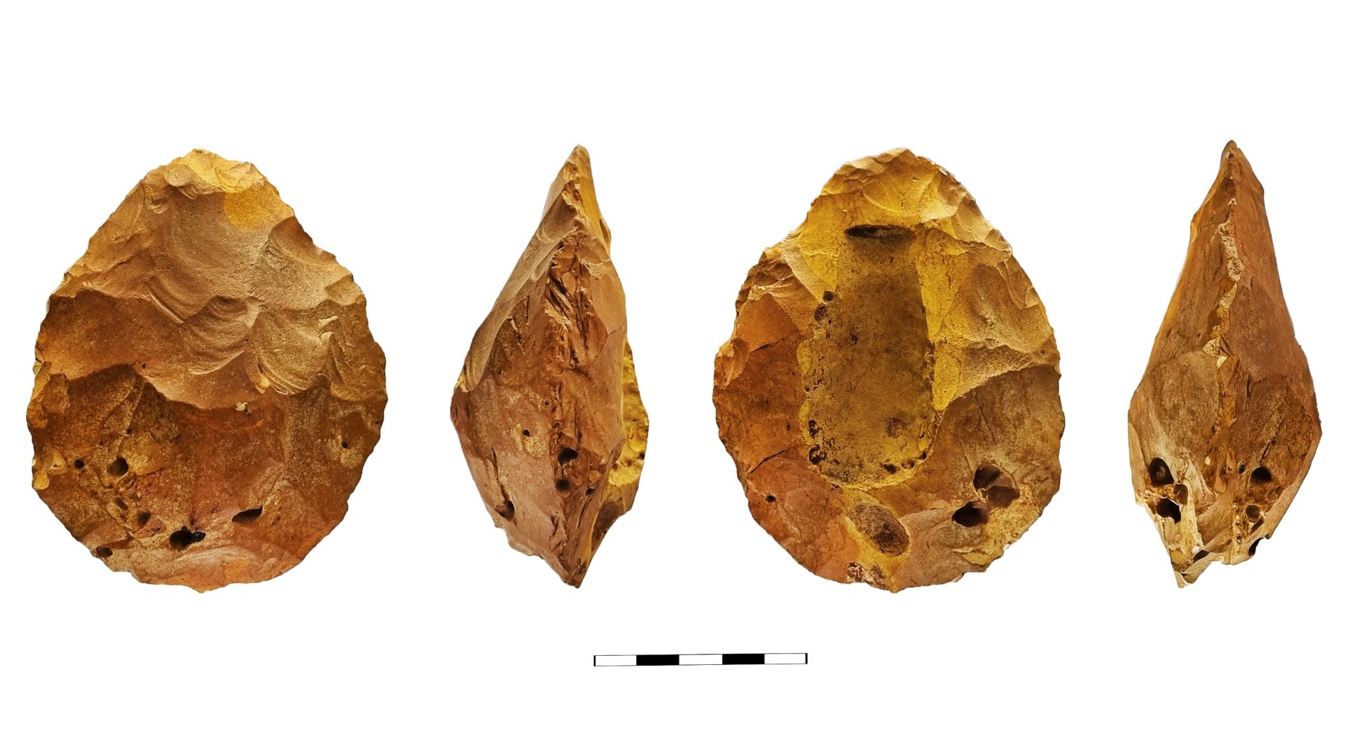 A series of brown pointed rocks seen from different angles against a white background