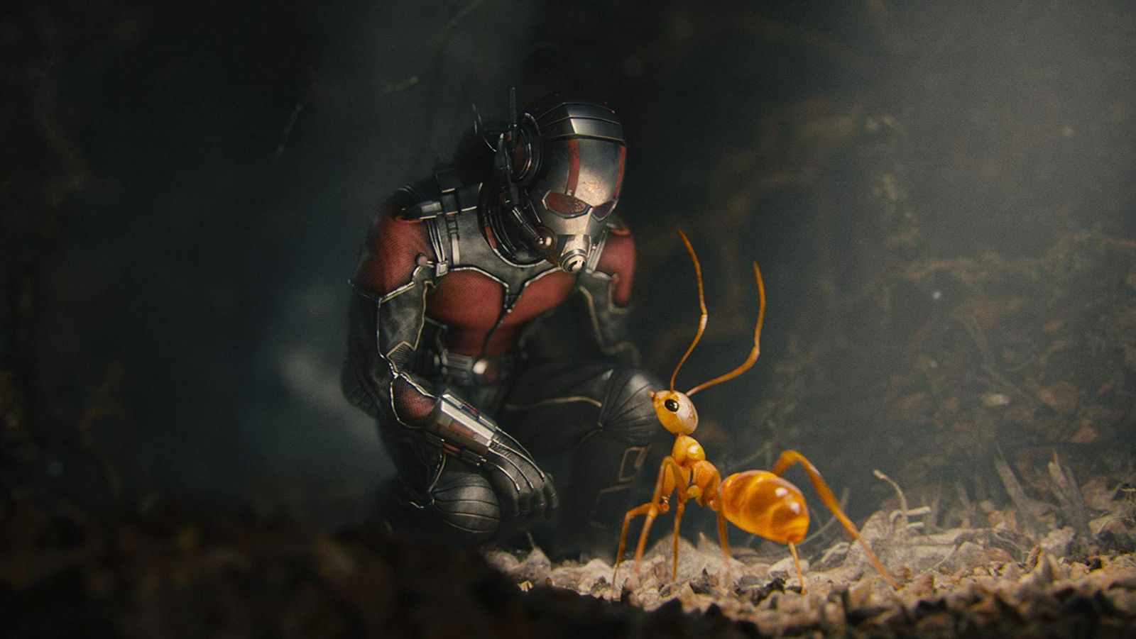 How to watch Ant-Man | What to Watch
