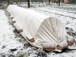 Snow on a garden row cover