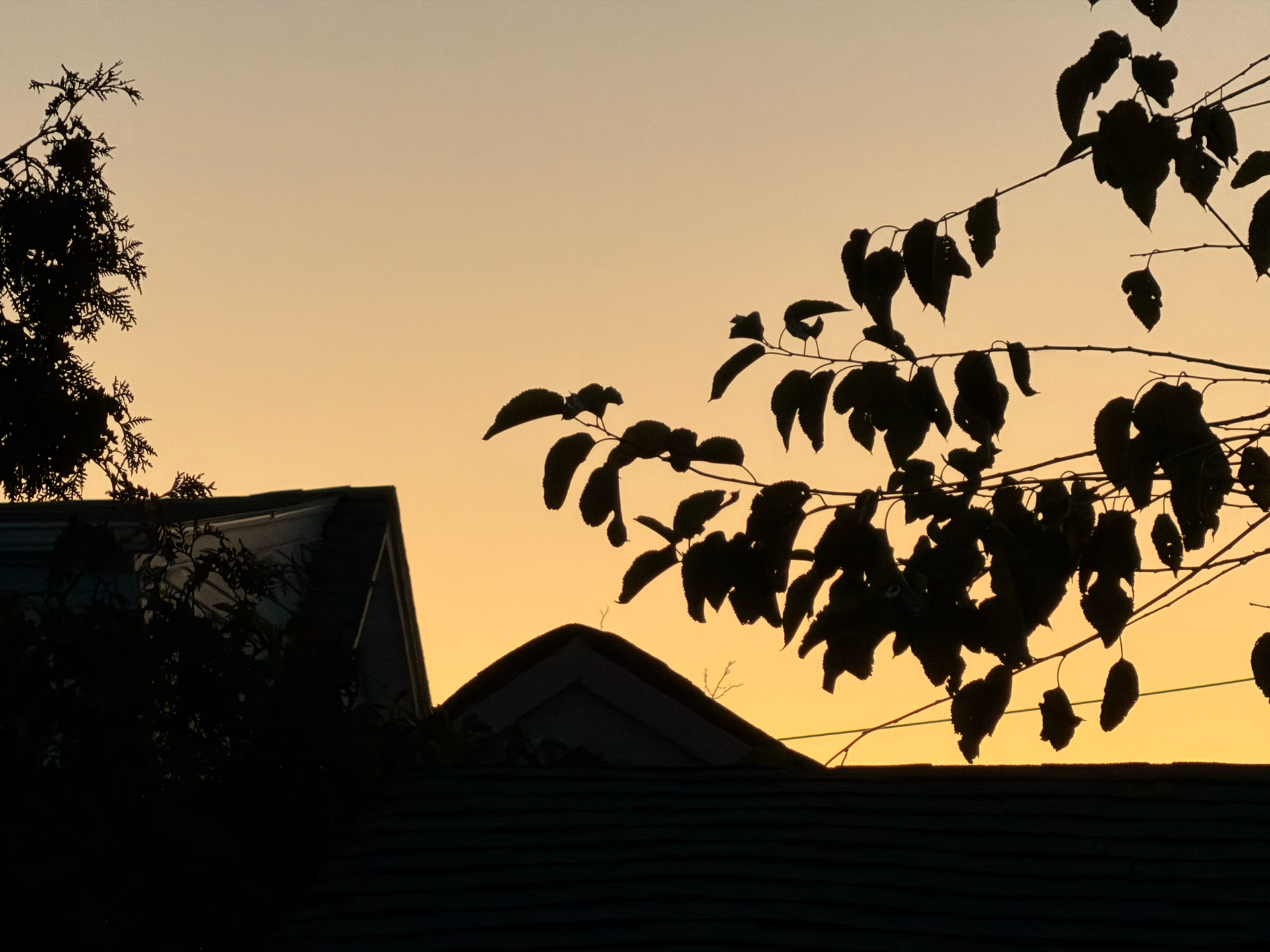 Apple iPhone 17 Pro REVIEW photo samples