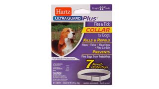 Hartz UltraGuard Plus Flea collar for dogs