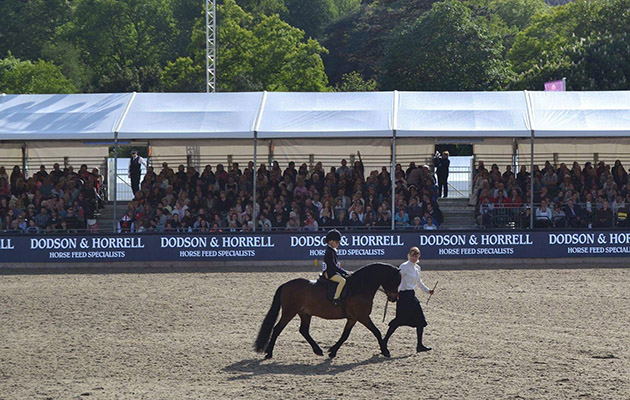 Royal Windsor 2017 (2)