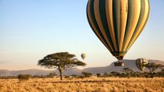 Three hot air balloons in the sky above the plains of the Serengeti in Tanzania