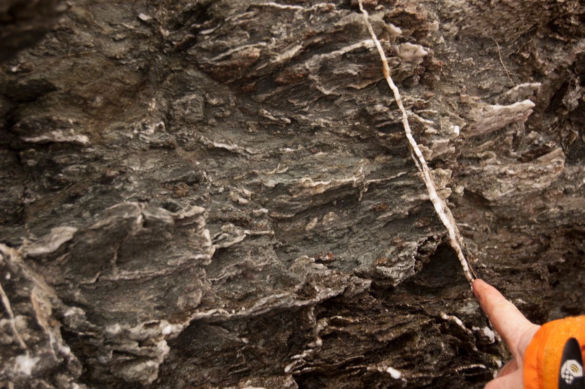 Life Might Thrive 12 Miles Beneath Earth's Surface | Space