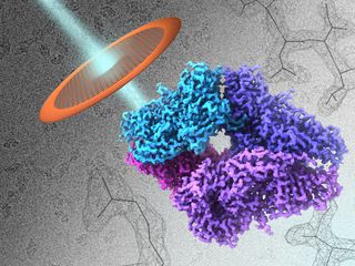 new microscope technique, cyro-EM