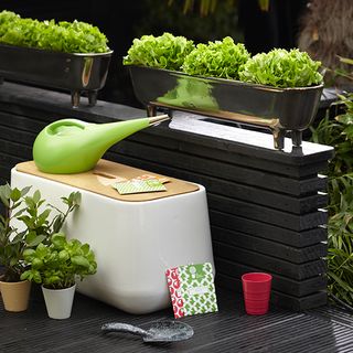 herb pots with watering can