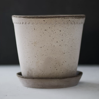 grey concrete plant pot on a saucer