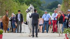 European Eventing Championships first trot-up