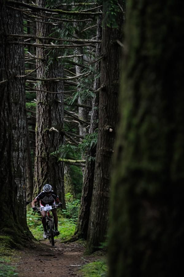 A racer is dwarfed by large trees