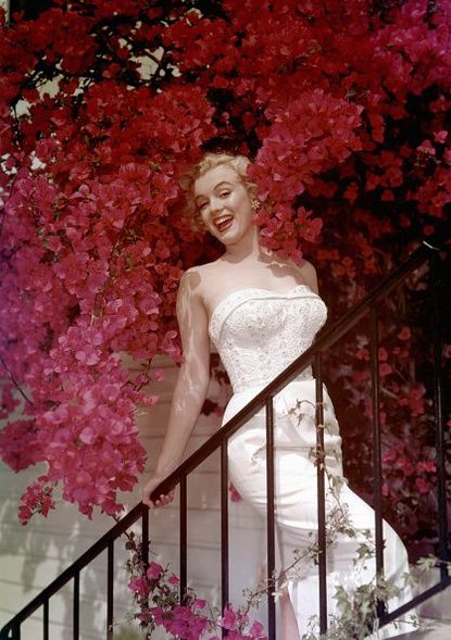 That Marilyn Was Involved with Natasha Lytess