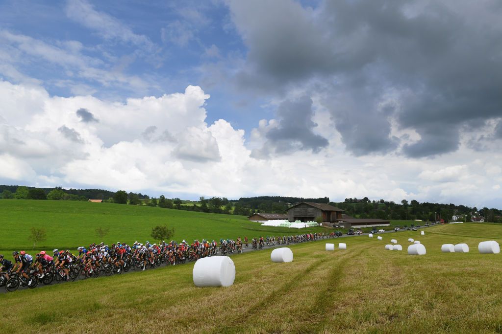 PFAFFNAU SWITZERLAND JUNE 08 The Peloton passing through a field with bales during the 84th Tour de Suisse 2021 Stage 3 a 185km stage from Lachen to Pfaffnau 509m Landscape UCIworldtour tds tourdesuisse on June 08 2021 in Pfaffnau Switzerland Photo by Tim de WaeleGetty Images