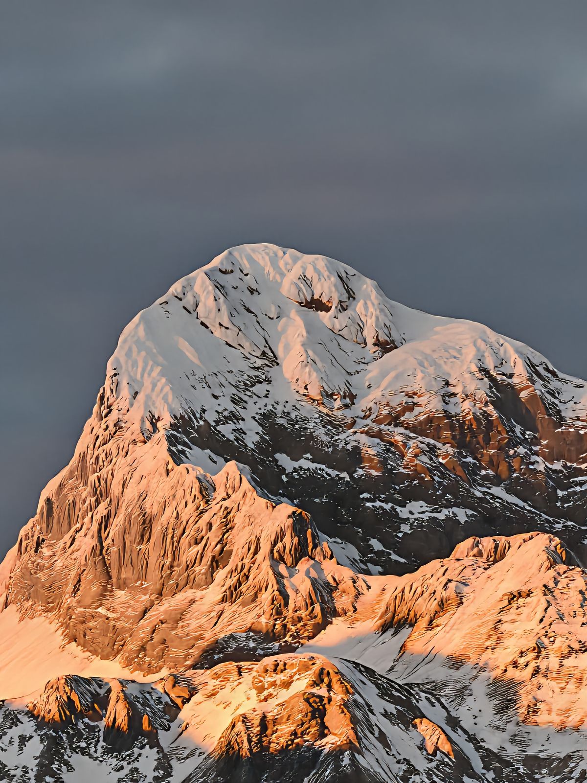 Honor AI Super Zoom examples