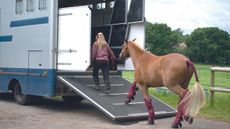 transporter authorisation