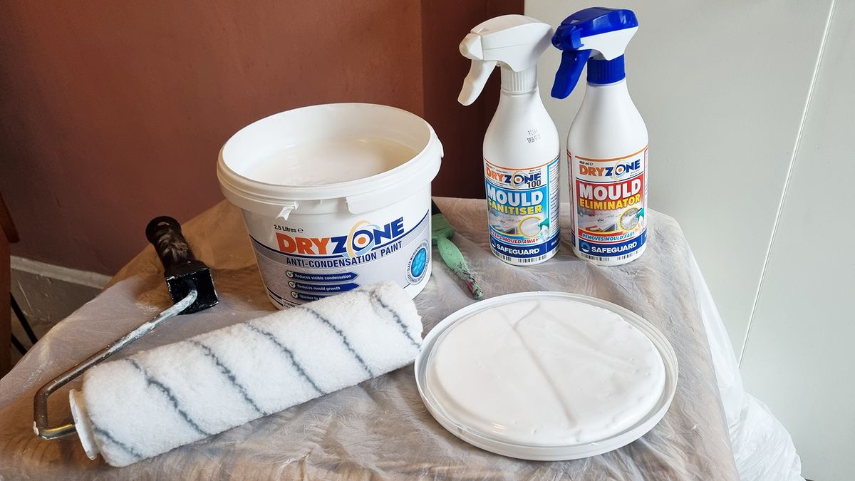 Applying anti-condensation paint to tackle mould