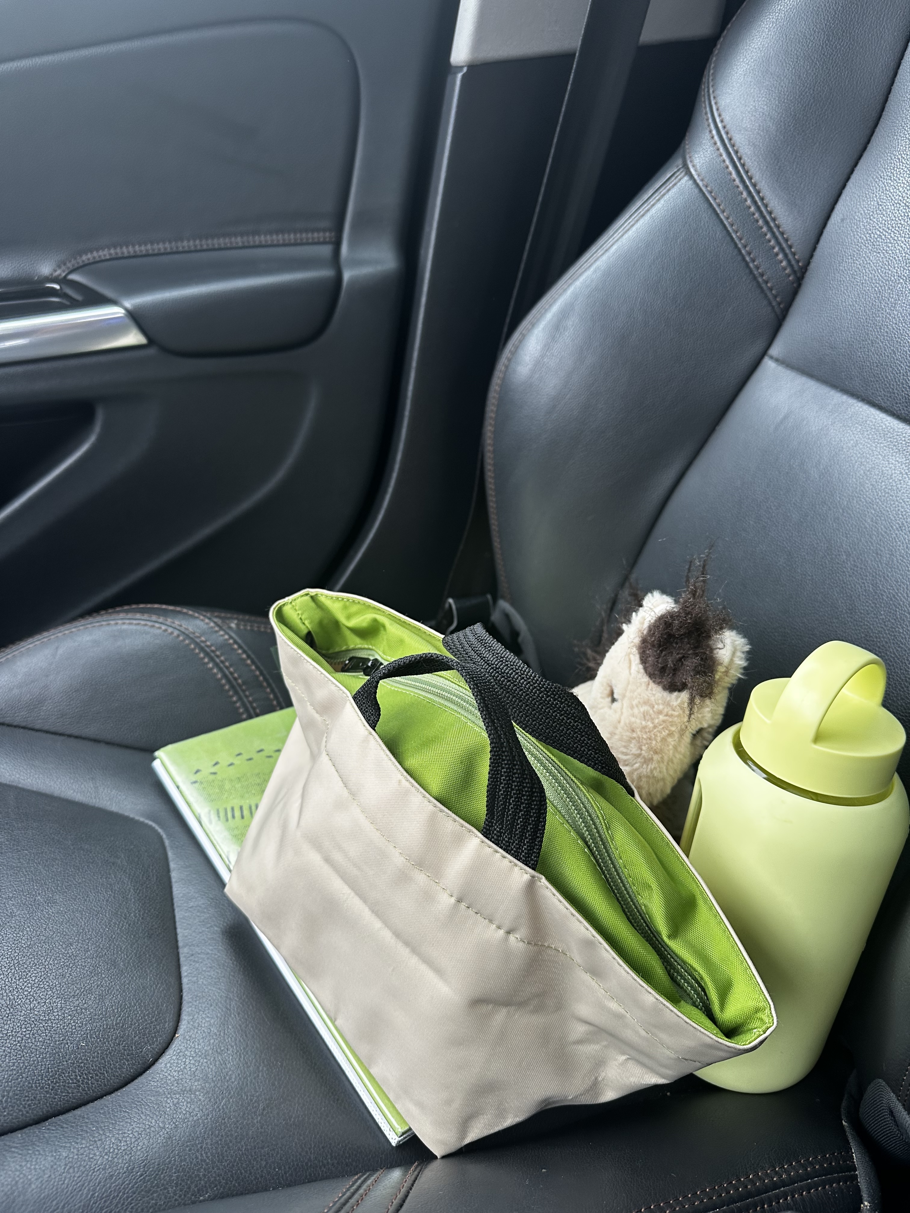 Julia Gall's two-tone green Herv&amp;eacute; Chapelier bag with matching accessories