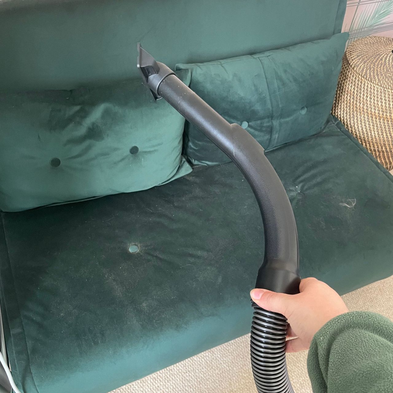 Miele Guard M1 Cat &amp; Dog cleaning nozzle in front of a green sofa bed
