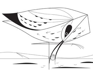 A black and white illustration of a bird picking up a shell.