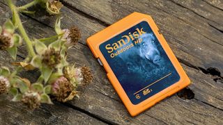 SanDisk Outdoors SDXC card