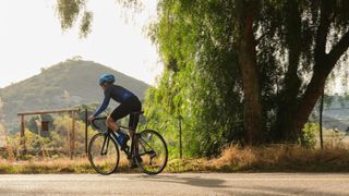 A man rides down a sunny tree lined road on a blue road bike