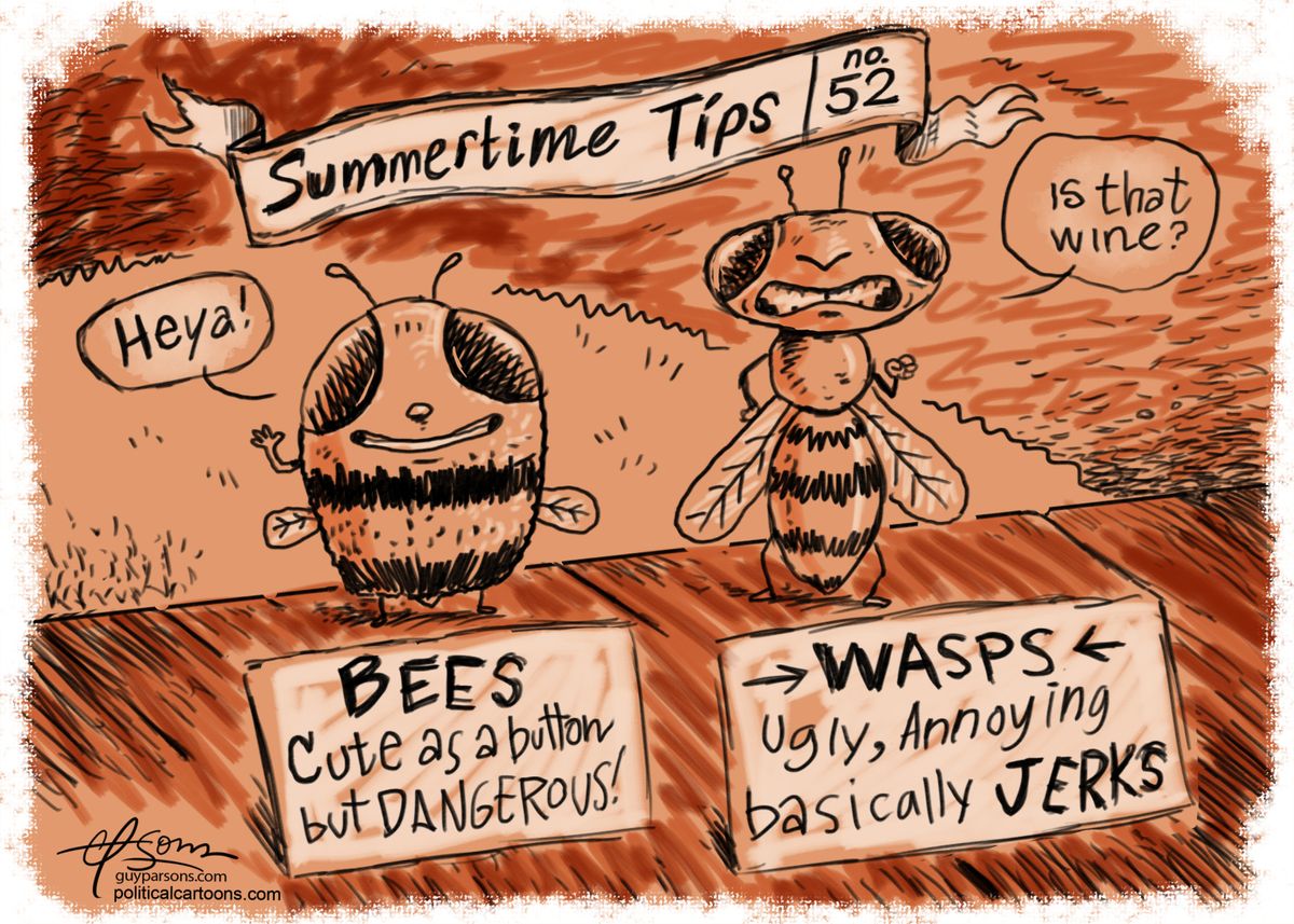 Summer tips | The Week
