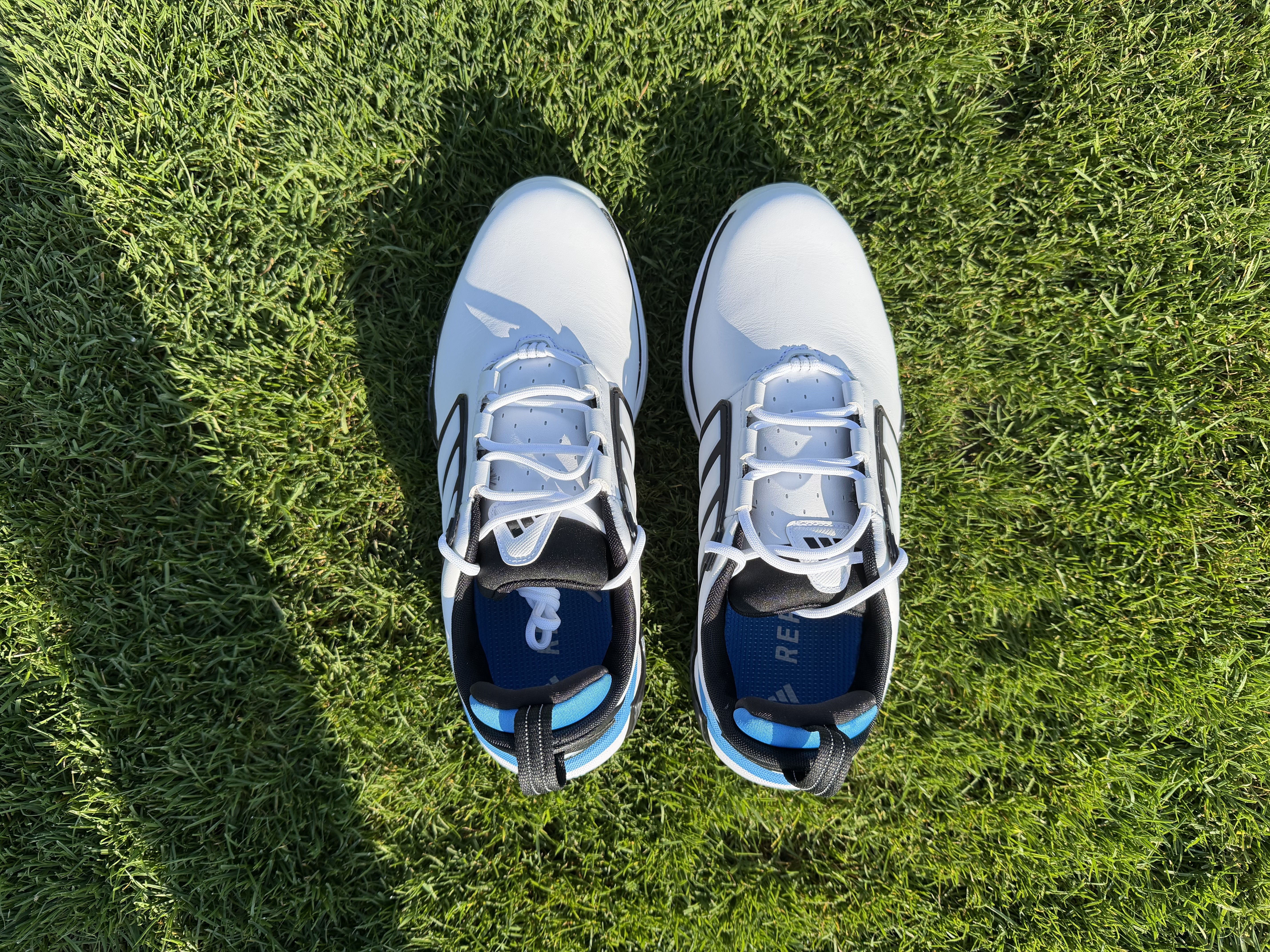 Adidas Adipower 26 Spikeless Golf Shoe Reviewv