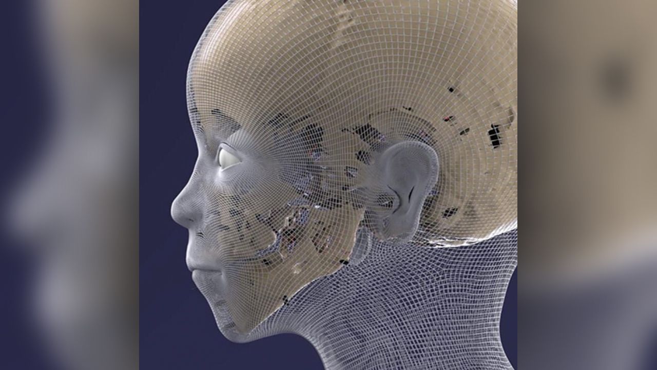 This virtual mesh helped the researchers configure the facial reconstruction.