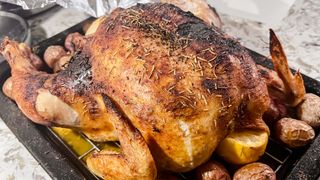 Breville Joule Oven Air Fryer Pro roasted chicken