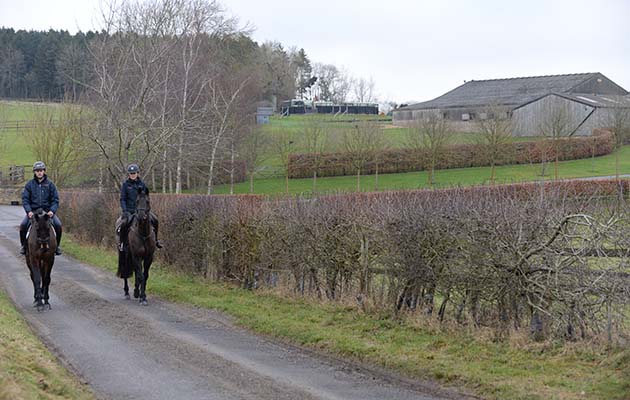 Cranford Stud Eventing 26 01 2018