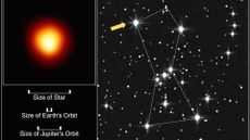 A diagram showing a direct image of Betelgeuse on the left, and its position in the Orion constellation's shoulder on the right