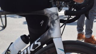 The Lion of Flanders has a roaring lion on the head tube of the frame