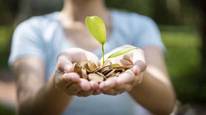 A woman holds a handful of coins with a new sprout growing out of the pile.