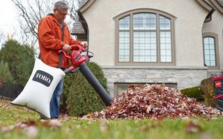 Best Leaf Blower 2019 - Gas and Electric Leaf Blower Reviews | Top Ten ...