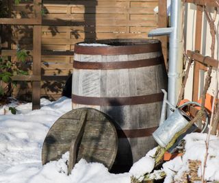 Rain barrel in snow and ice