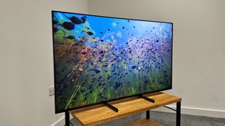 Sony XR-55X90L showing a nature documentary